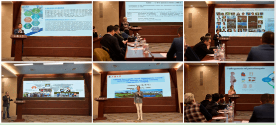 20230330-3.png 20230330-3.png